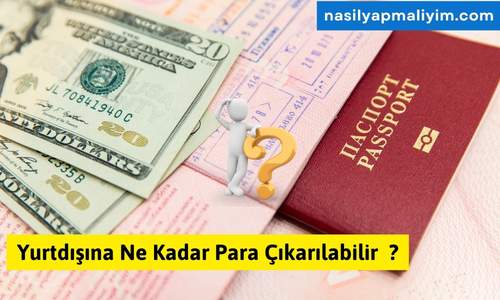 Yurtdışına Ne Kadar Para Çıkarılabilir 2024?